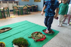 IMG_20231026_094122