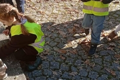 577021487_122179446482781830_4622372983232418101_n