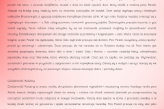 586556137_122181040508781830_5271108095203604915_n