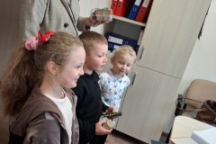 fe6b051d-f85d-4366-8dc0-b9e504329bd3